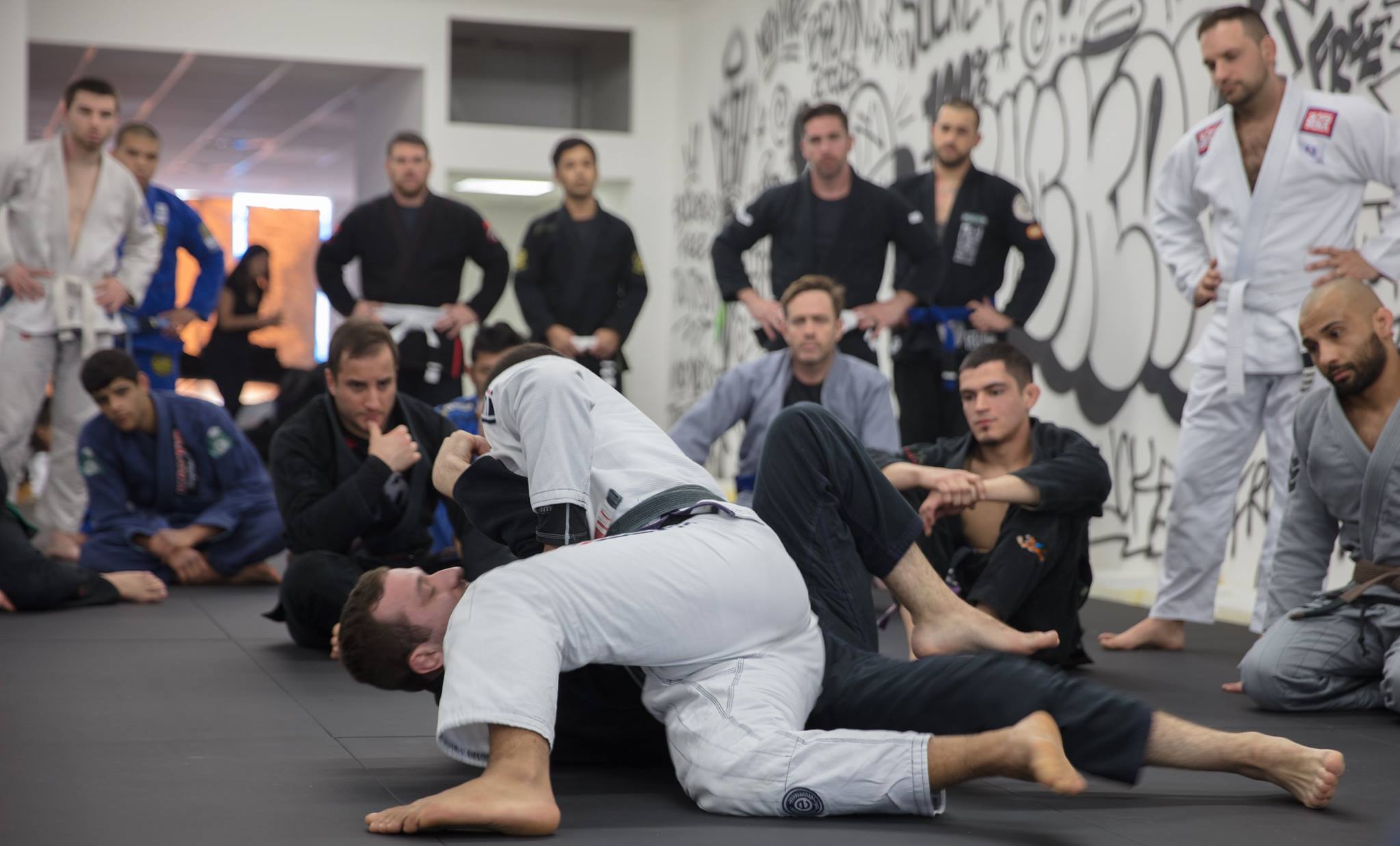 essential jiu jitsu moves essential jiu jitsu moves