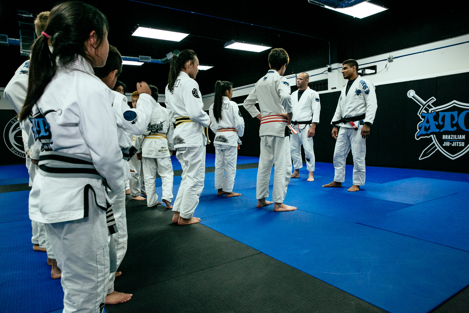 джитсу фигура. стиль джитсу 3 дом. Bjj training. до джитсу. владимир тагиров айкидо.